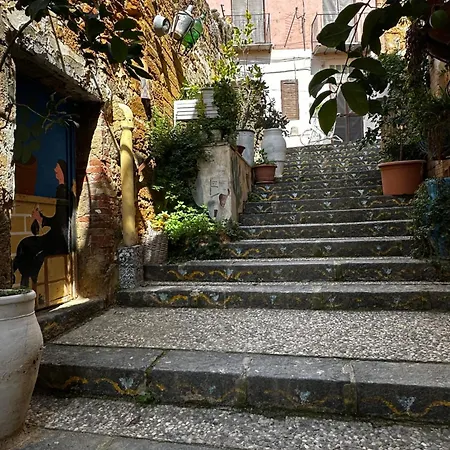 Guest house O Munti