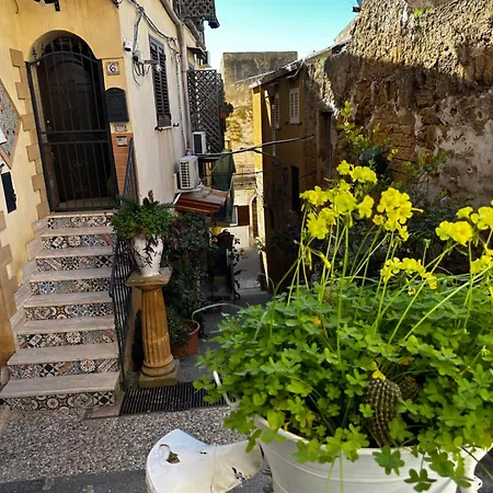 O Munti Guest house